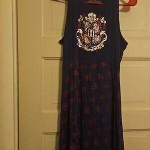 Harry Potter Hogwarts House Cup Dress